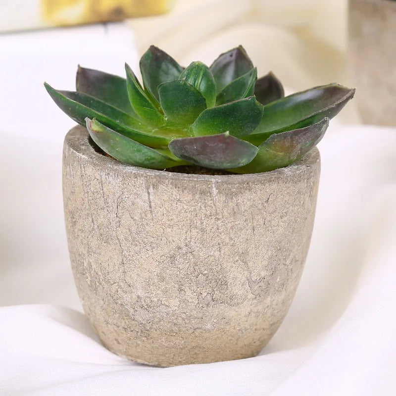 צמחים מיני סוקולנטים מפלסטיק צמחי בונסאי מלאכותיים צמחי כדור דקורטיביים  לעיצוב הבית הגינה והמשרד