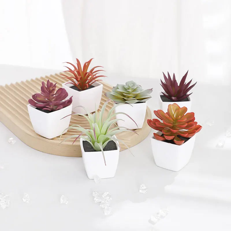 שש יחידות מיני צמח סוקולנט מלאכותי מפלסטיק אגן לבן, מושלם לעיצוב הבית לקישוט מדף הספרים לשולחן העבודה וכל אפשרות אחרת