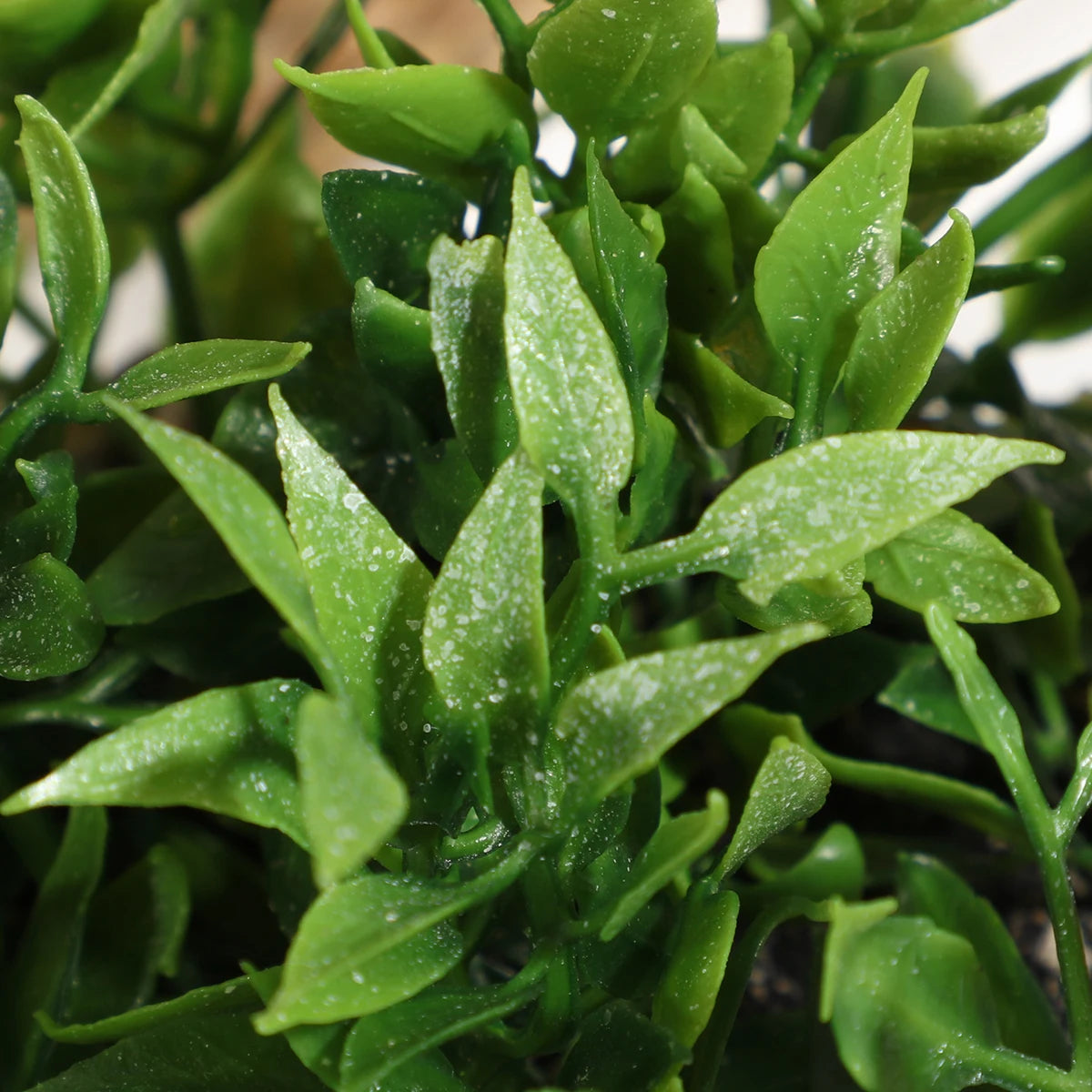 צמחי אקליפטוס מלאכותיים לעיצוב הבית והמשרד